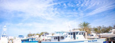 Daytona beach photographer captured pictures in Ponce Inlet of sea Spirit fishing charter